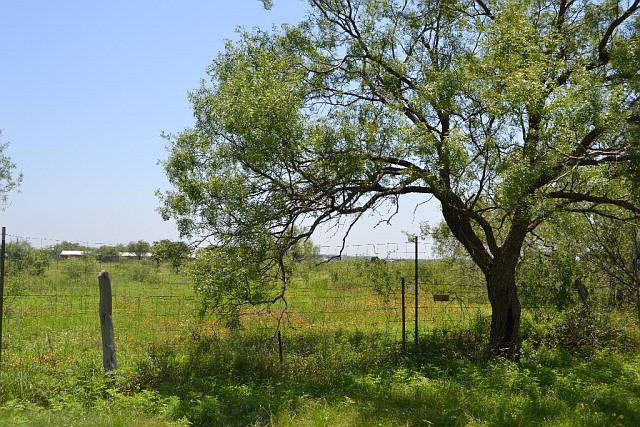 1st image of 1101 State Highway 584