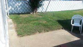 Rear yard - kinda fenced