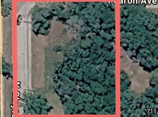 0 N Clayton St, Mount Dora, FL 32757
