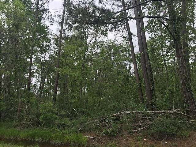 2nd image of 3603 Delia Randall Rd