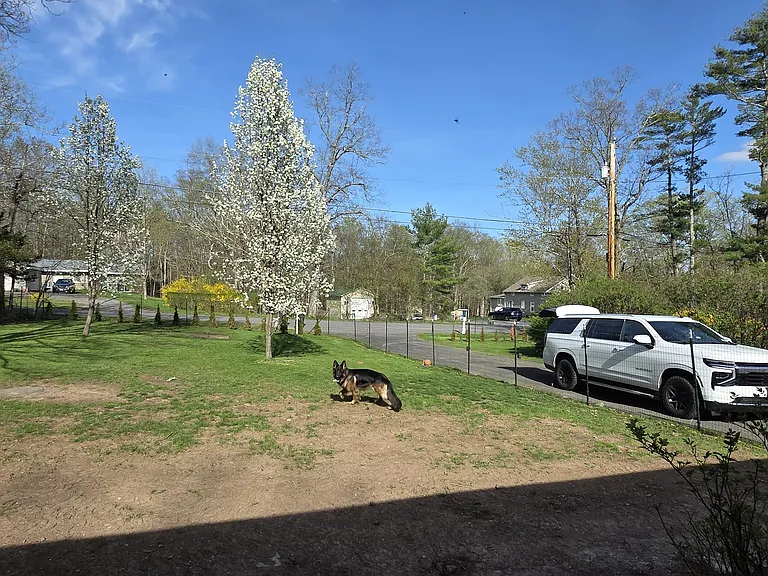 193 Vernal Butler Rd — Photo 12