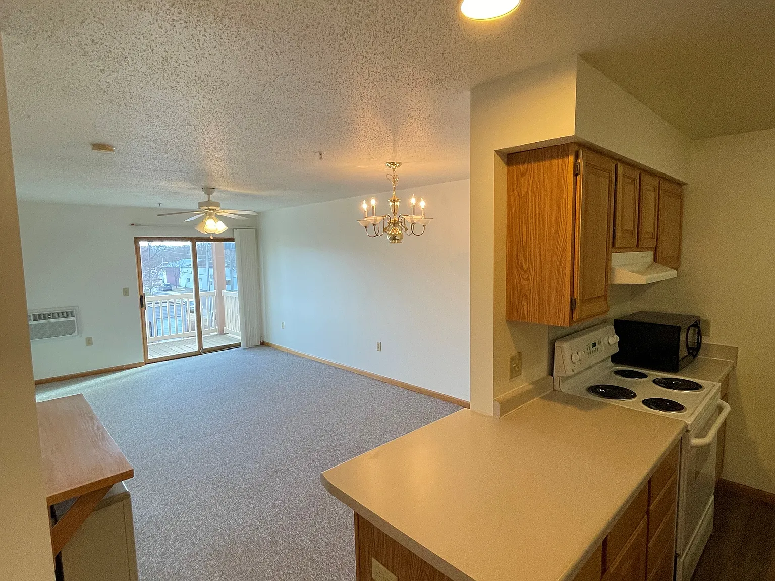 1 bed, $930 — Photo 2