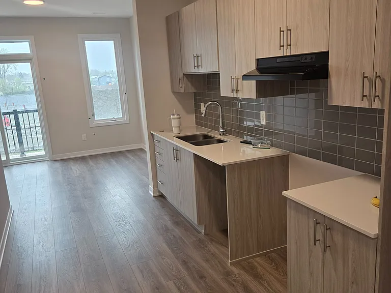 229 Lamarche Ave — Photo 10