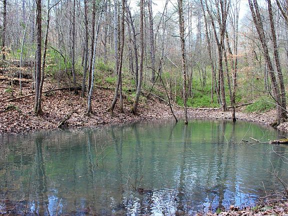 Small pond a short distance off the gravel road