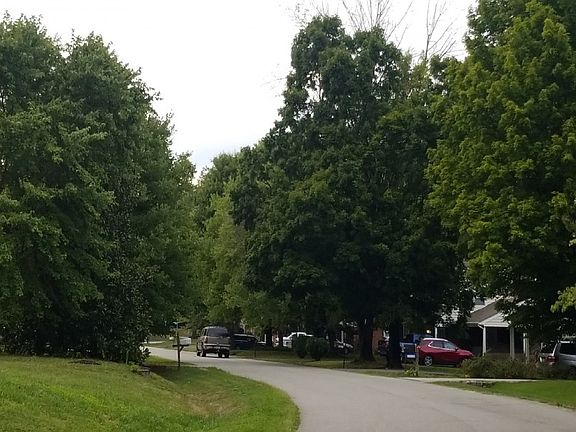 5th image of 10076 Beechwood Dr
