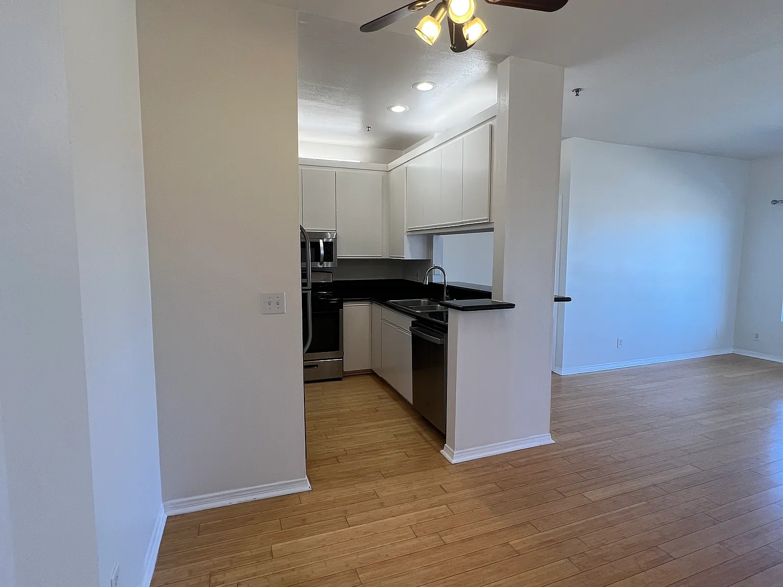 2 bed, 925 sqft, $3,650 — Photo 3