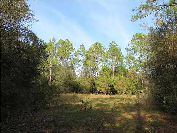 3rd image of Alligator Bobs Pl
