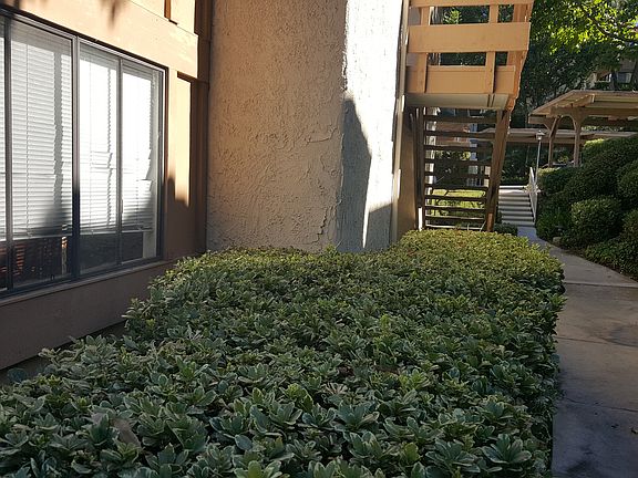 3rd image of 22809 Hilton Head Dr Unit 9