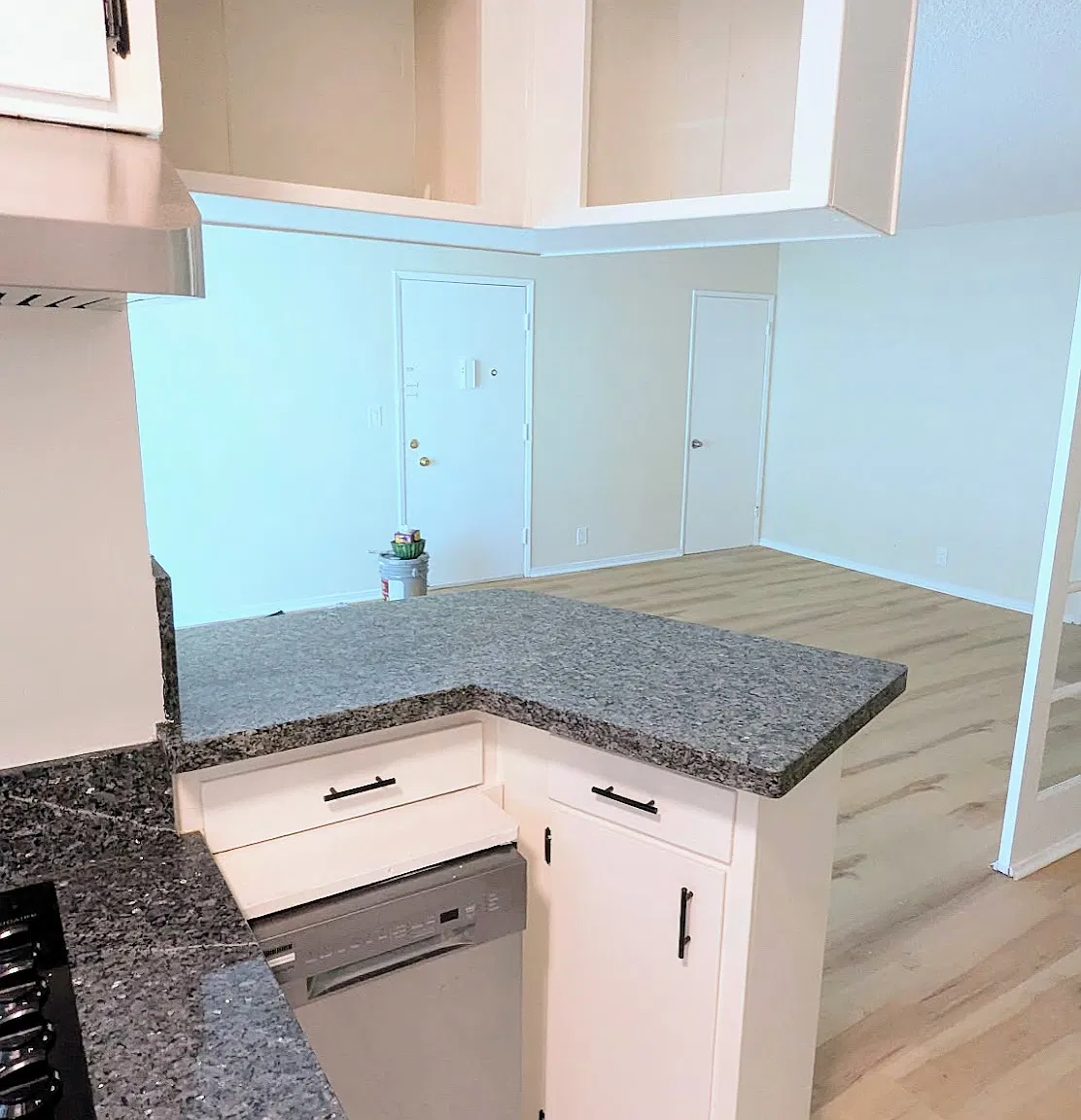 2 bed, 1100 sqft, $3,000 — Photo 4