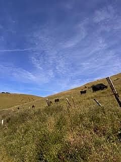 3rd image of 1 Little Merrill Rd