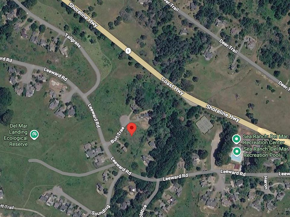 1st image of 74 Burl Tree