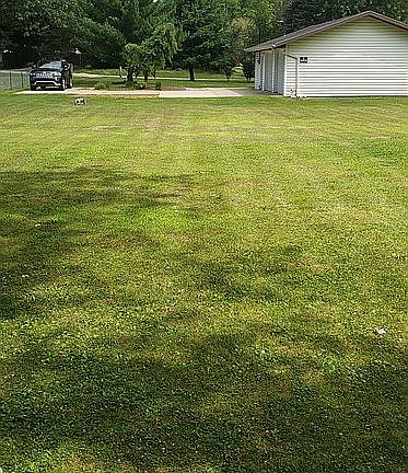 3rd image of 145 Elvern Dr