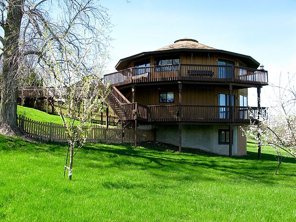 4-26-2017 Plums in Bloom