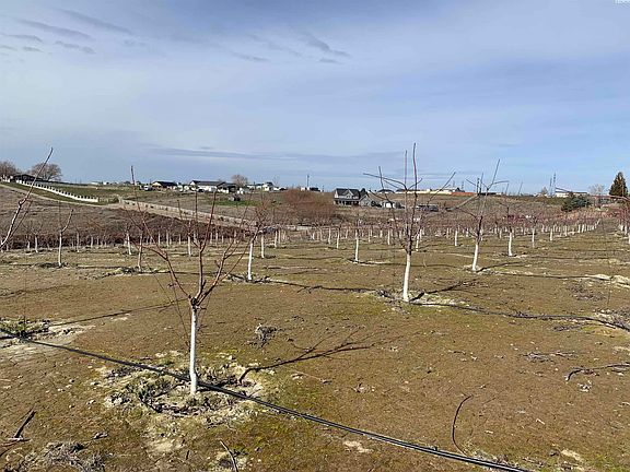 4th image of 630 Moore Rd