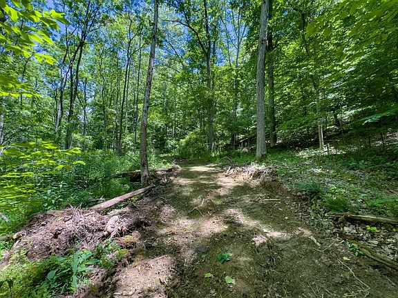 Long Hollow Rd 3