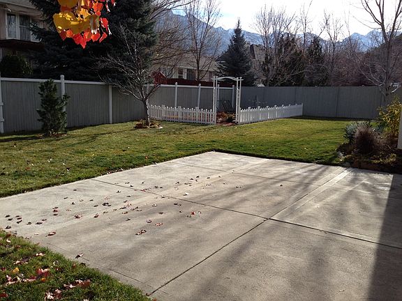 Backyard/Garden