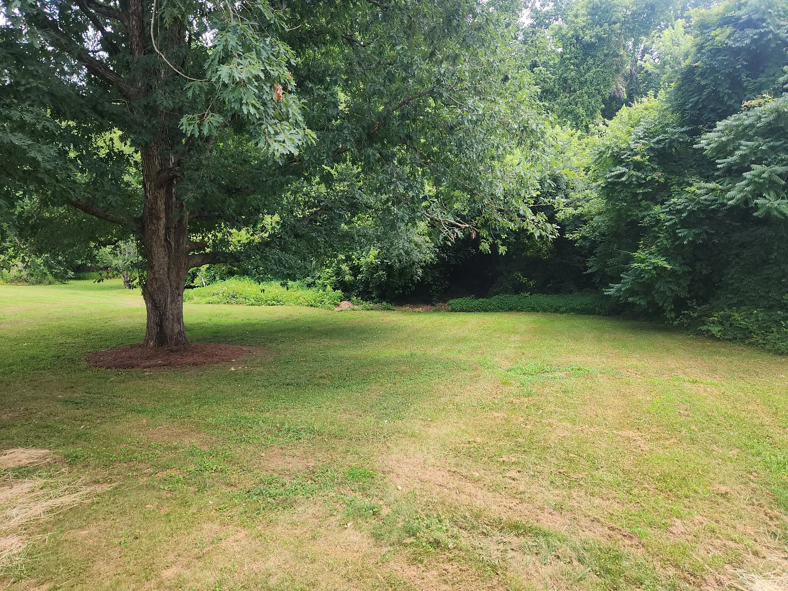 3 bed, 1150 sqft, $1,850 — Photo 4