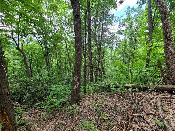 3rd image of 28 Sonshine Ridge Rd