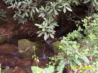 0 Chestnut Cove Rd, Sylva, NC 28779