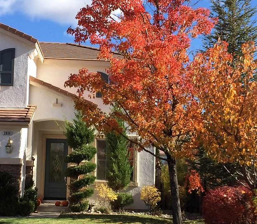 2nd image of 2926 Blue Grouse Dr