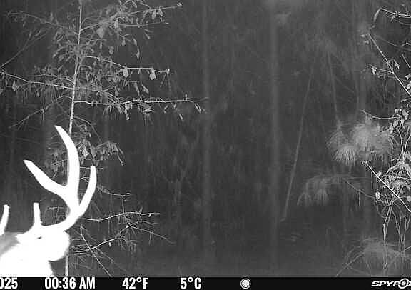 4th image of Carlisle Gap Rd