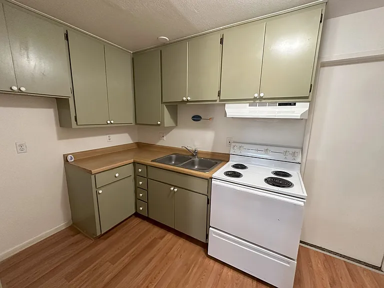 304 Birch St #3 — Photo 6