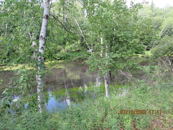 163 Larch Trl, Lake, MI 48632