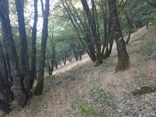 16424 Annie Dr, Grass Valley, CA 95949