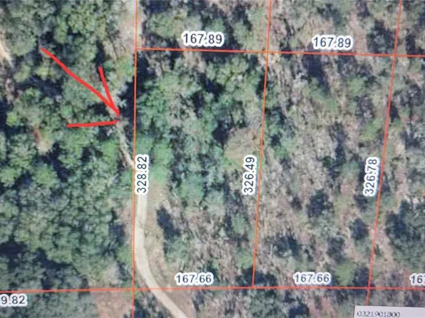 NE 116th St, Archer, FL 32618