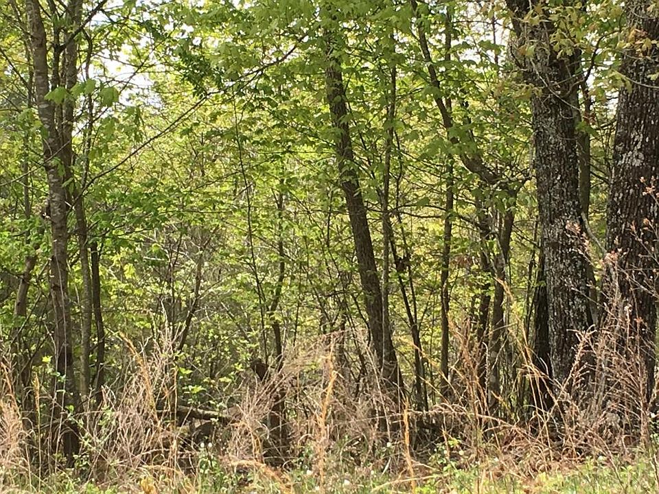 2nd image of Maple Dr