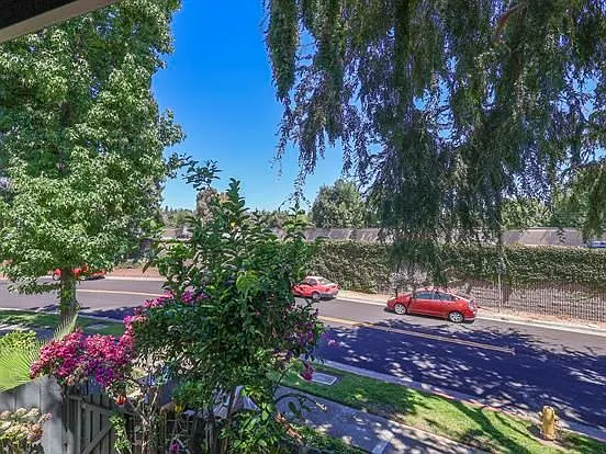 4533 Caraway Ct — Photo 10
