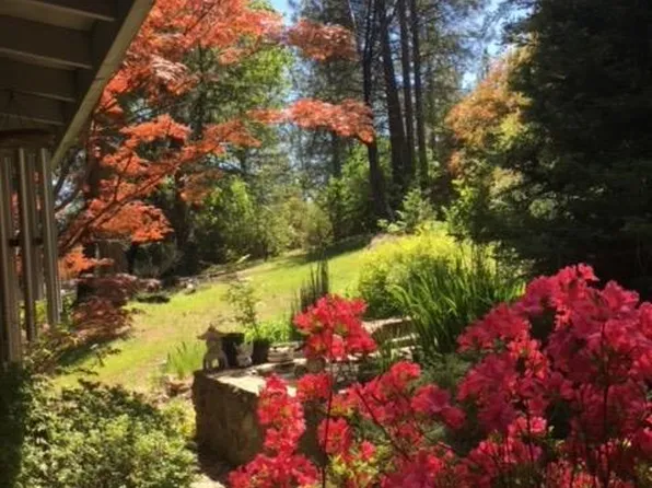 15080 Alleghany Rd, North San Juan, CA 95960