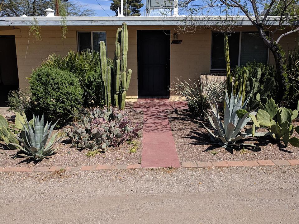 Front entrance and yard