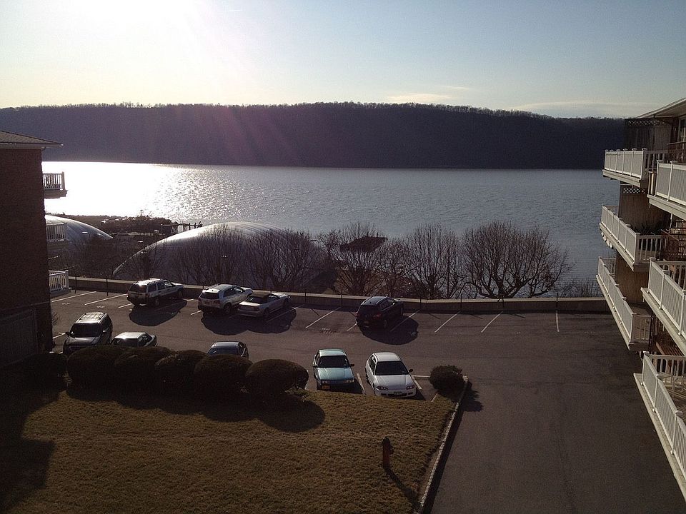 the view