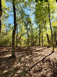 Tbd5 Winter Creek Ct, Nisswa, MN, 56468