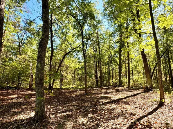 Tbd5 Winter Creek Ct, Nisswa, MN 56468