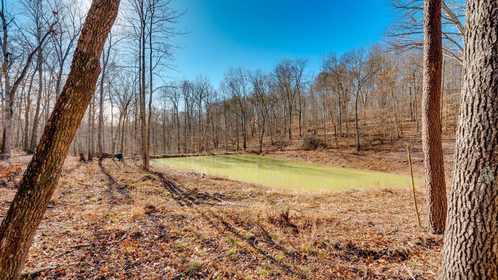 Real estate listing image