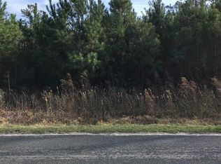 60 Acres Cates Bay Hwy, Conway, SC 29527