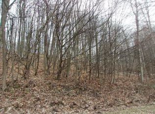 Ziehm Rd, Bear Lake, MI 49614