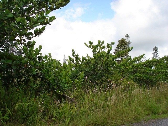 1st image of 2nd Ave Lot 2781