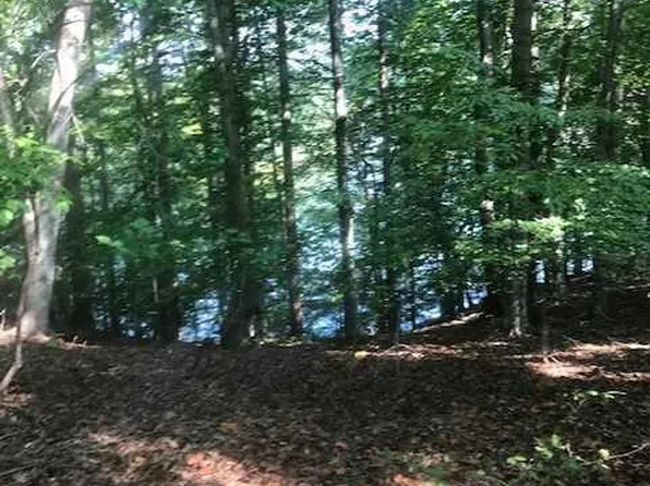 3 Cathedral Oaks Ln, Wirtz, VA 24184