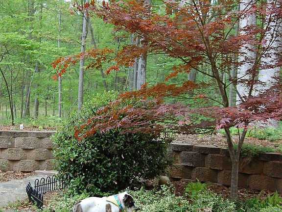 retaining wall /Garden