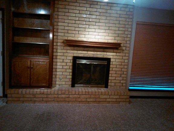 Living room fireplace and bookshelf