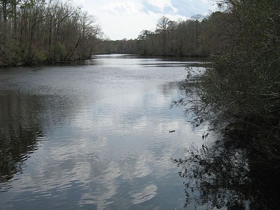 River View