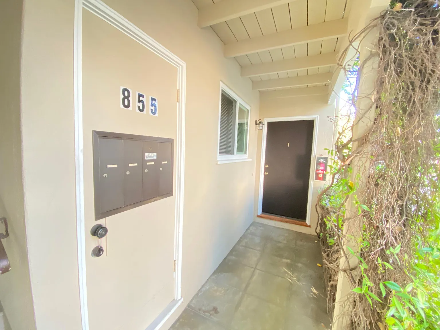 855 Fremont St — Photo 4