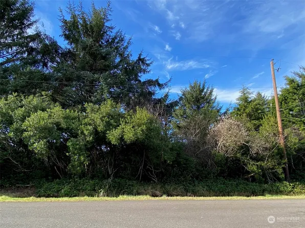 463 Inlet Avenue NW, Ocean Shores, WA 98569