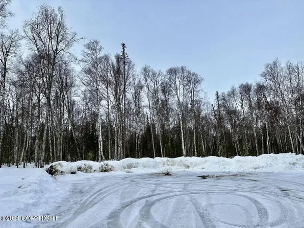 25708 S Gardener's Ln, Talkeetna, AK 99676