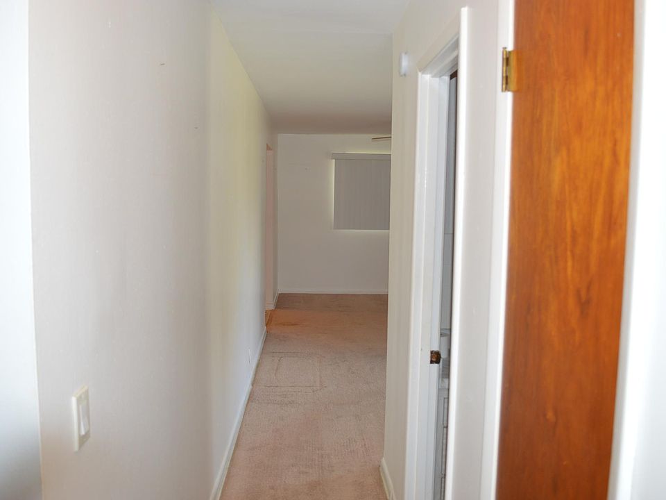 1st image of 1321 Orangewalk Dr