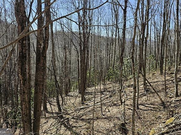 3rd image of 0 Highland Gap Rd