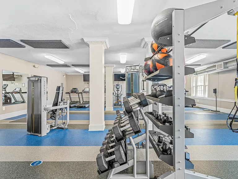 Free weights & strength machines